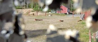 Skyttar ska lockas till Boden