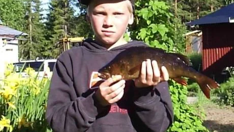 fdm02
ABBORRE MODELL STÖRRE. Niemiselgrabben Martin Nilsson, 10, drog upp det här praktexemplaret i Stornottjärn den 1 juli. Den 39,5 centimeter långa abborren vägdes in till 750 gram. Dett sedan den fastnat i Martins spinnare.