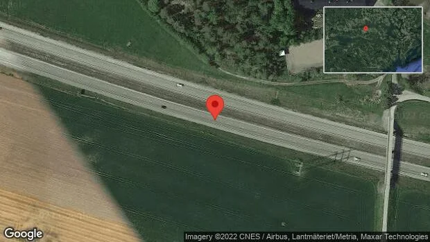 Vildsvin på vägen på E20