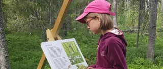 Nu ska de minsta barnen få en alldeles egen äventyrsstig i Luleå