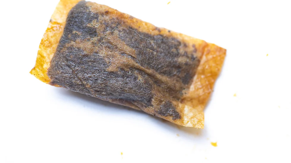 Snus i portionsförpackning.