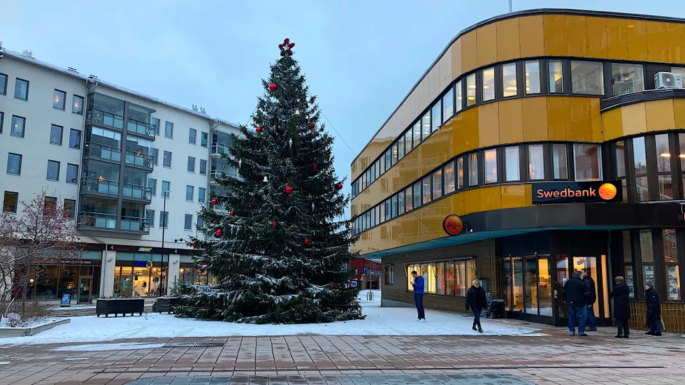 Under julgranen påträffades en försvunnen 85-årig kvinna. Nu visar den slutliga obduktionen att hon frös ihjäl.