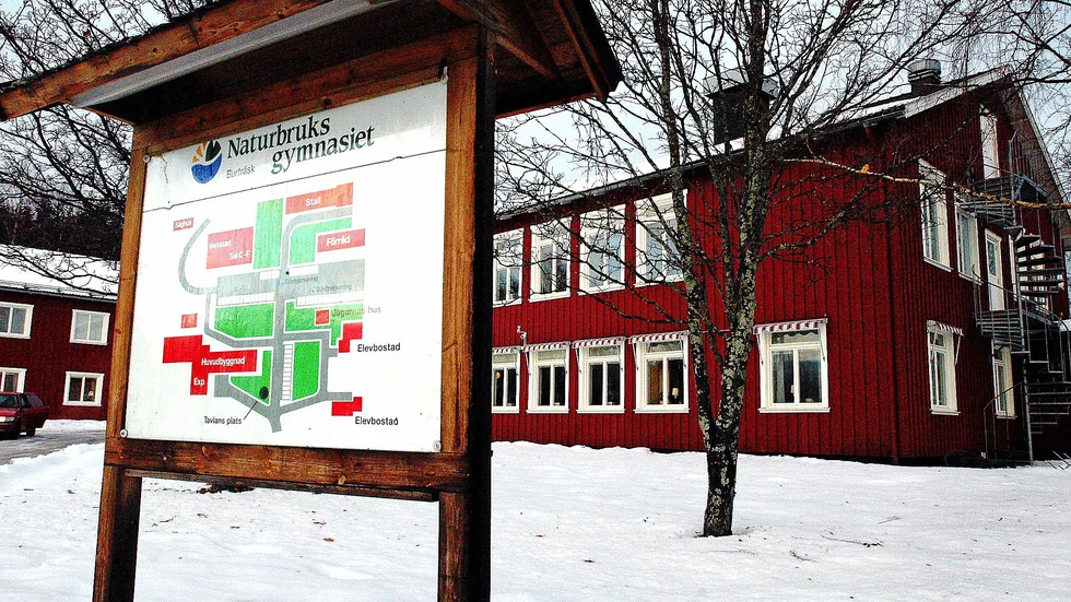 Det blir inga fler särskoleelever på Naturbruksgymnasiet i Burträsk nästa år. De elever som redan går på programmet påverkas däremot inte.
