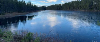 Läsarbilden: Insomnad tjärn