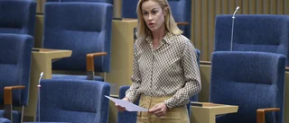 SD-riksdagsledamoten bor i Sparreholm på helger – får ut 12 000 per månad i traktamente: "Jag har följt regelverket"