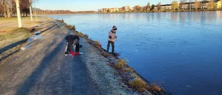 Isigt bus vid Kvarnängens strand