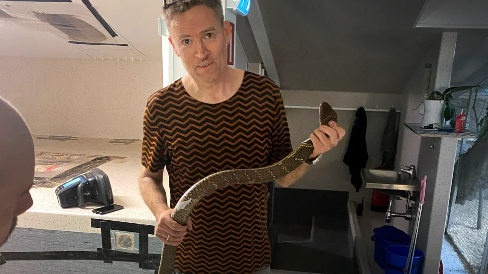 Kalle Melkersson fångade kobran med en krok, drog ut den på golvet och kopplade nackgrepp med händerna. 
