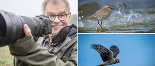 Tidigare rederichefen fann lugnet bland fåglarna • ”Att fotografera fåglar gör att man stänger ute allt annat för en stund”
