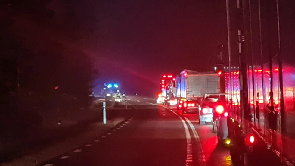 Riksväg 23 var avstängd i båda riktningarna efter att en bil kolliderat med en älg. 