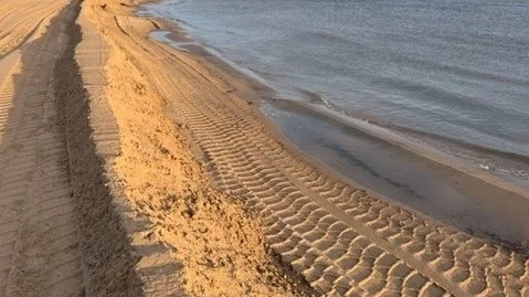 Det är inte första gången tunga maskiner rullat över stranden och schaktat bort växtlighet och sanddyner. Historiskt har det skett utan tillstånd. Denna gång har kommunen upphävt strandskyddet. Varför?
