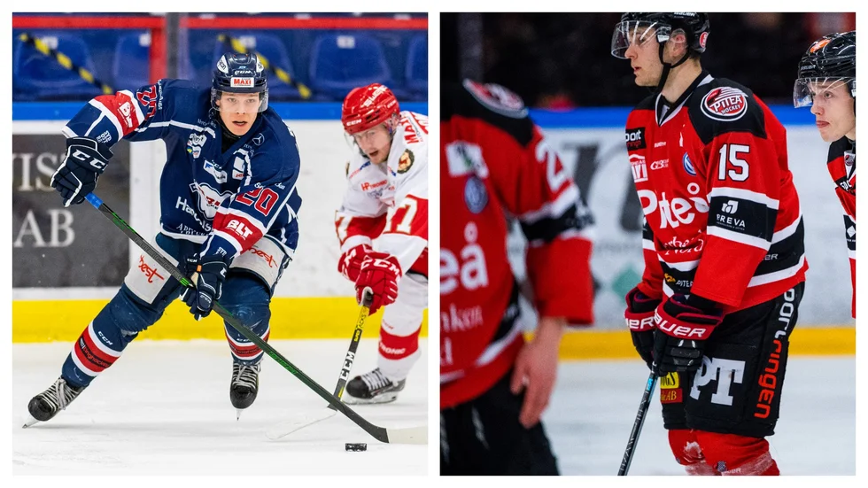Ludwig Wistén och Pontus Wikström kommer att göra minst en match för Vita Hästen.