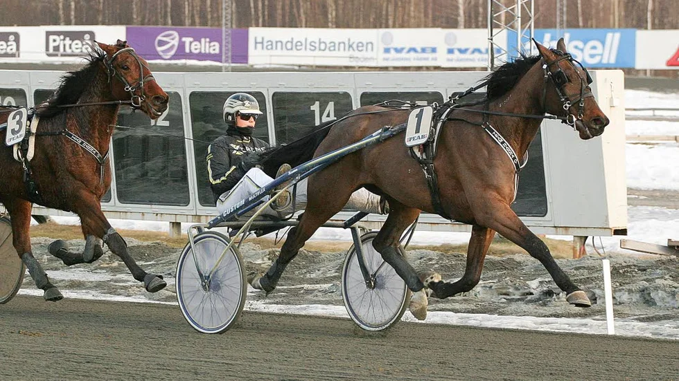 Hanna Olofsson hade en riktigt bra eftermiddag på Boden-travet. Totalt blev det fyra segrar.