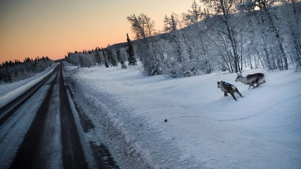 SATSNING. 250 miljoner kronor extra till E10 under perioden 2014-2025. Det var infrastrukturminister Catharina Elmsäter-Svärds besked till P4 Norrbotten under torsdagen.