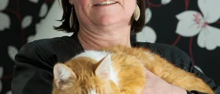 Hon är på jakt efter plats i EU-parlamentet