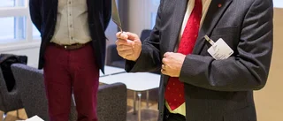 Flyglinje startar på nytt