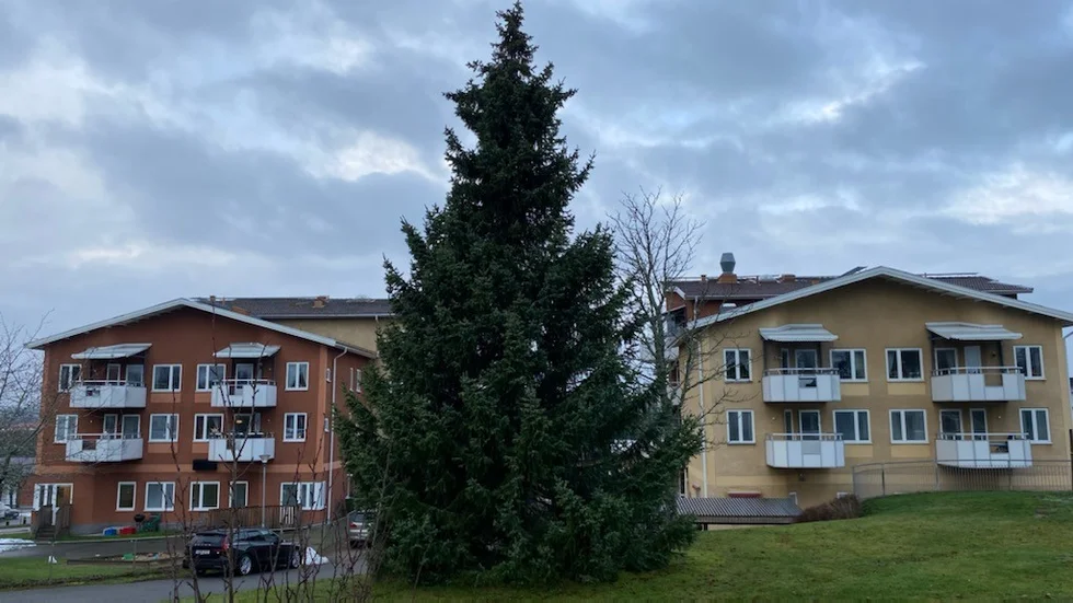 Granen vid Granen utan belysning. Ett av några exempel som insändarskribenten tycker drabbar de äldre.