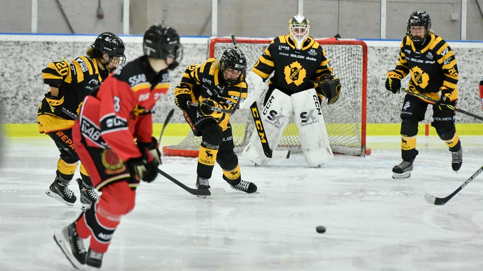 Skellefteå AIK kraftsamlade efter det långa matchavbrottet och kunde hålla undan till seger i den damallsvenska premiären.