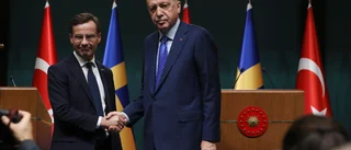Vad mer tänker regeringen göra för Erdogan?
