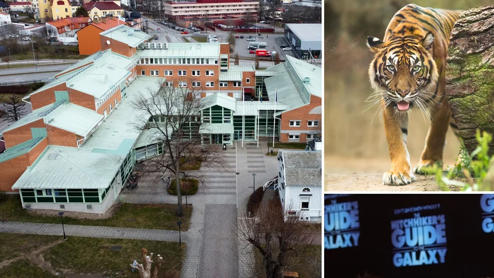 I Liftaren fanns planerna på genomfartsleden helt publikt i en mörklagd källare, dit trappan hade rasat, inne på en stängd toalett, vars dörr bar en skylt med texten "Varning för tigern". Så otillgängliga kan politiska beslut ibland vara, skriver Tobias Josefsson.