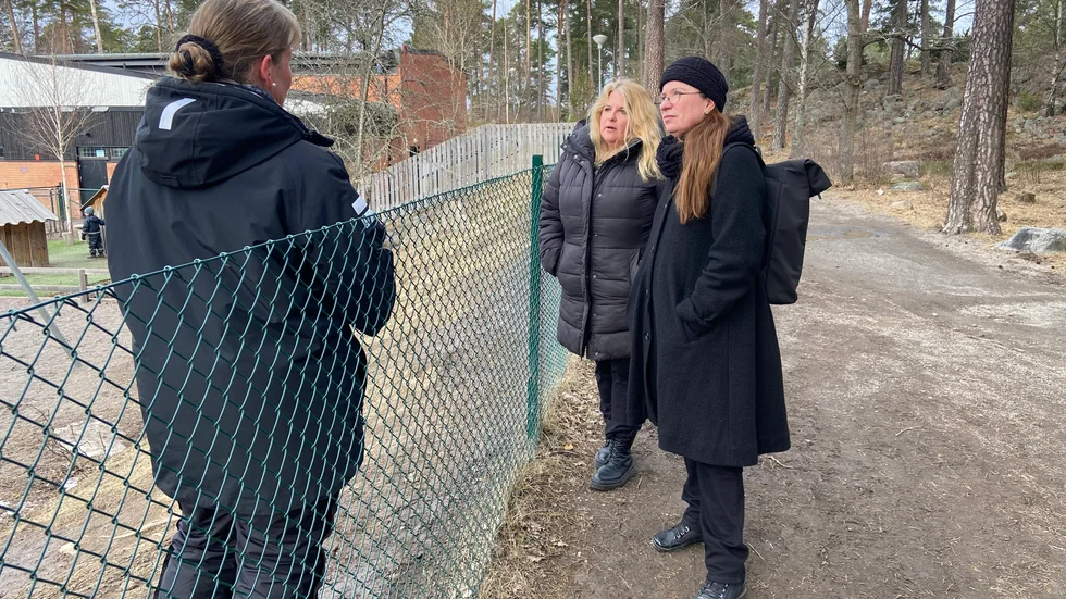 Annika Busch Palm och Jannicke Fyhr från kulturkontoret i samspråk med Anette Söderberg på Trollskogens förskola, vars 4-åringar upptäckte veckans stöld på Den magiska stigen.