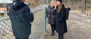 Fräck konststöld i skogen slår hårt mot förskolebarn
