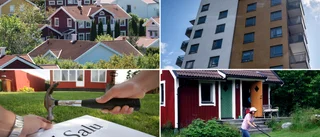 Market for apartments and houses down, holiday homes up