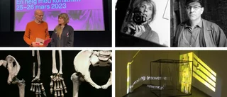 Hel helg med konstfilm – okänd svensk filmhistoria visas på Cnema