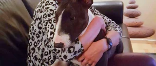 Hunden Milla hittad