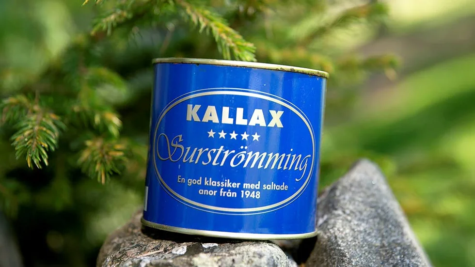 Vi är många som vill kunna äta de fermenterade delikatesserna från Kallax, Oskars och Röda Ulven även i framtiden.