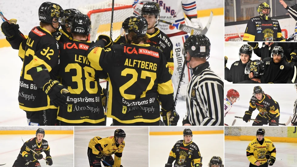 Sporten har gjort en stor genomgång på alla VH-spelare. Vilka stannar? Vilka lämnar?