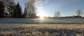 November kan vara vacker      