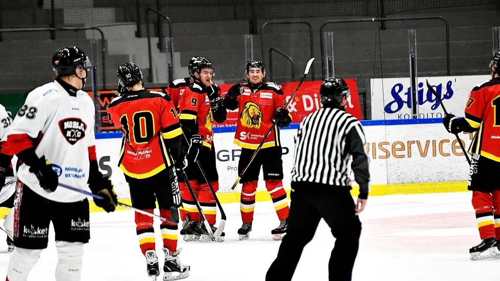 SK Lejon vann mot Umeå Dragons under tisdagskvällen.