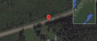 Fallna träd skapar problem i trafiken på väg 720