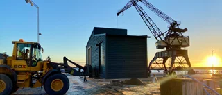 Därför står det ett växthus i Södra hamn