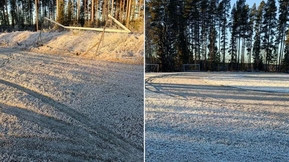 En målbur har för hand välts (tv) samtidigt som bilspåren tydligt visar att buskörningen skett i flertalet varv på Brännvalla. 