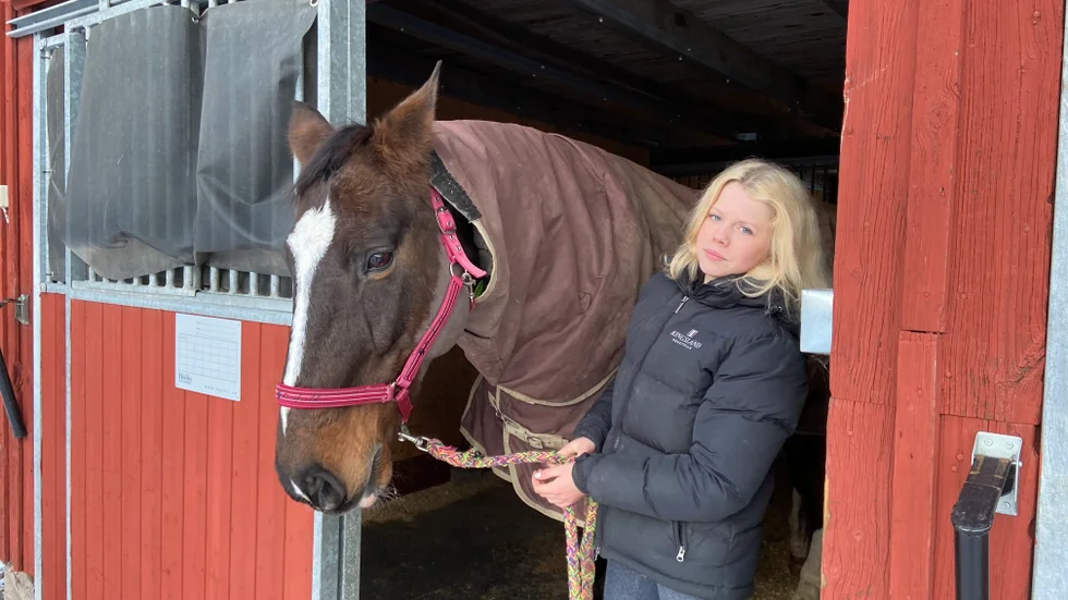 Cornelia Bardosson, 14, med sin häst Celwin, 18, som stod i en utebox under nyårsaftonen. Inne i stallet var det fullt. 