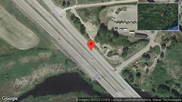 Vildsvin på vägen på väg 223