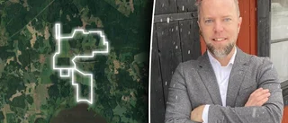 Solcellspark planeras nära häckande fåglar – kan producera el till 23 600 villor • ”Få synpunkter kring projektet”