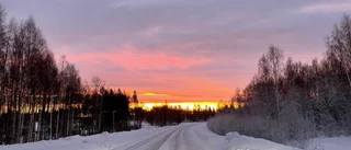 Läsarbilden                    
