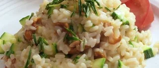 Risotto på svenska