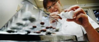 Dementa i Sverige får farlig medicin