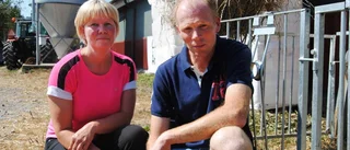 Upplevelserik dag på bondgård
