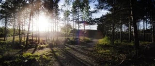 Så blir valborgsvädret