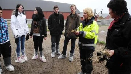 Karin Löwenborg berättar vad det finns för ingredienser i kornas foder.
