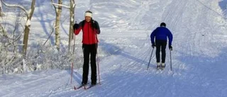 Billiga ställ bäst i test