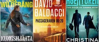 3 x tips: Tre spänningsromaner med agentsmak