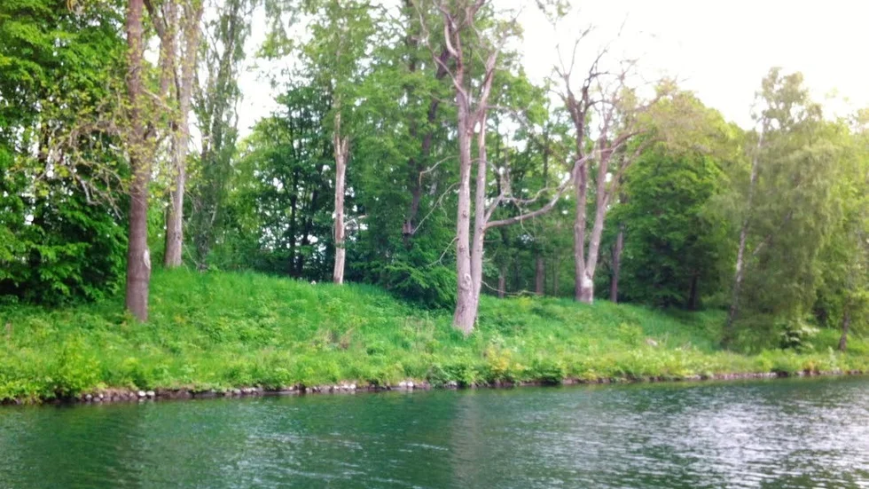Så ser det ut utmed Göta kanal i Motala. Dåligt underhåll.
