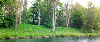 Vem ansvarar för dragvägarna längs Göta Kanal i Motala?
