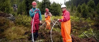 Lettiska specialister arbetar på mycket hög höjd i Tyllinge