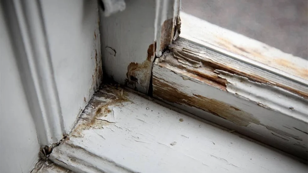 Kondensvatten förstör många fönster i hus. Så här ska det inte se ut.